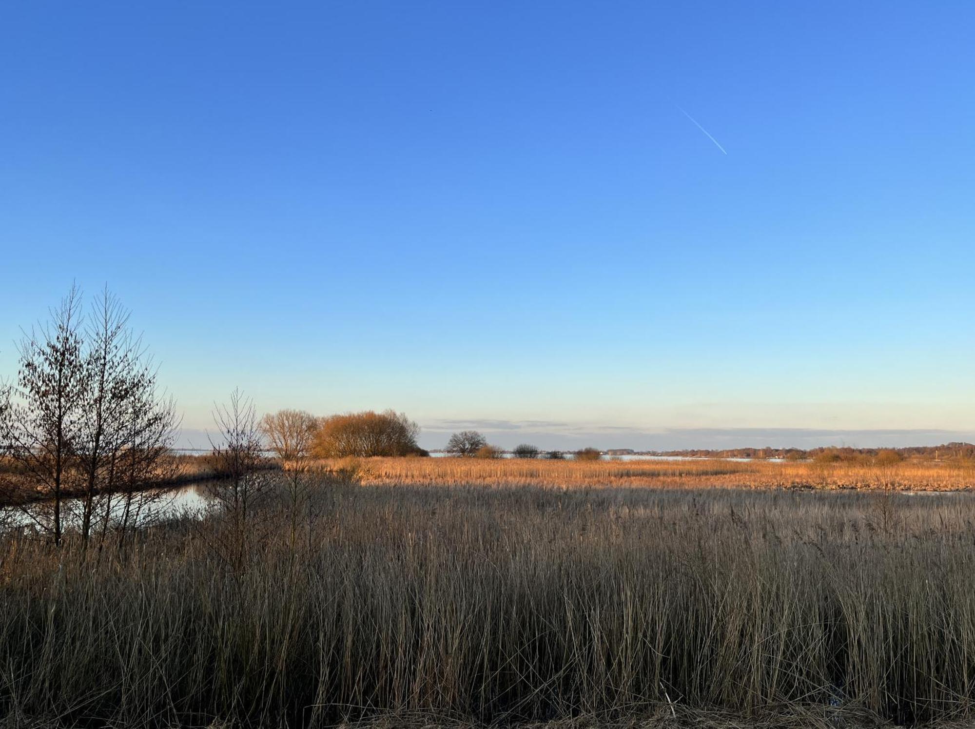 Hueder Hof Am Duemmer See Aparthotel Cameră foto